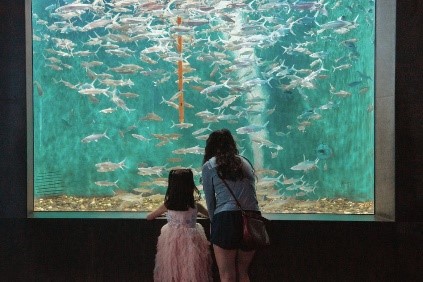 Parent and Child Looking into Aquarium Window