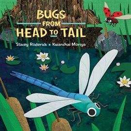 Bugs From Head to Tail Book Cover
