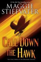 Call Down the Hawk Book Cover