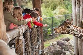 Children visiting a zoo