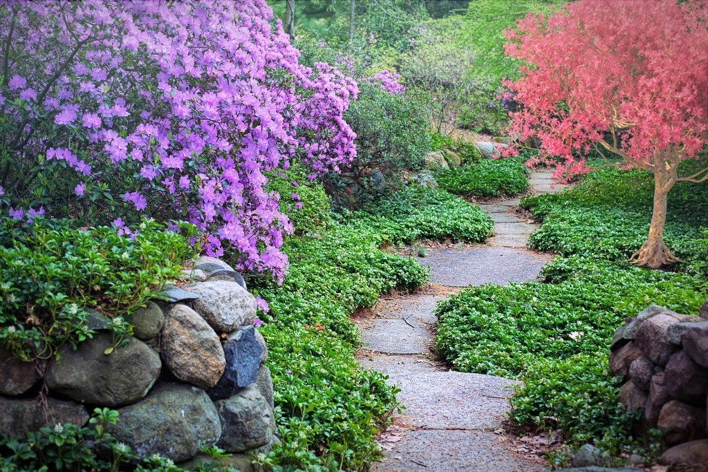 Colorful garden picture