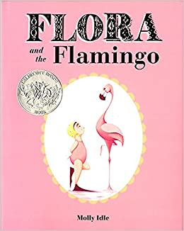 Flora and the Flamingo Book Cover