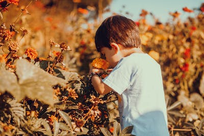 Small Child Playing with Leaves