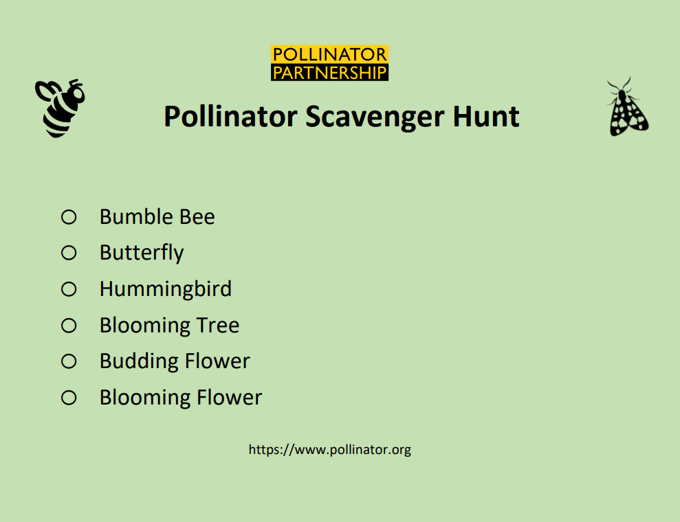 Pollinator Scavenger Hunt | Bumblebee, Butterfly, Hummingbird, Blooming Tree, Budding Flower, Blooming Flower