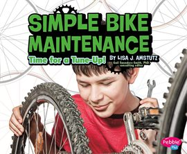 Simple Bik Maintenance Book Cover