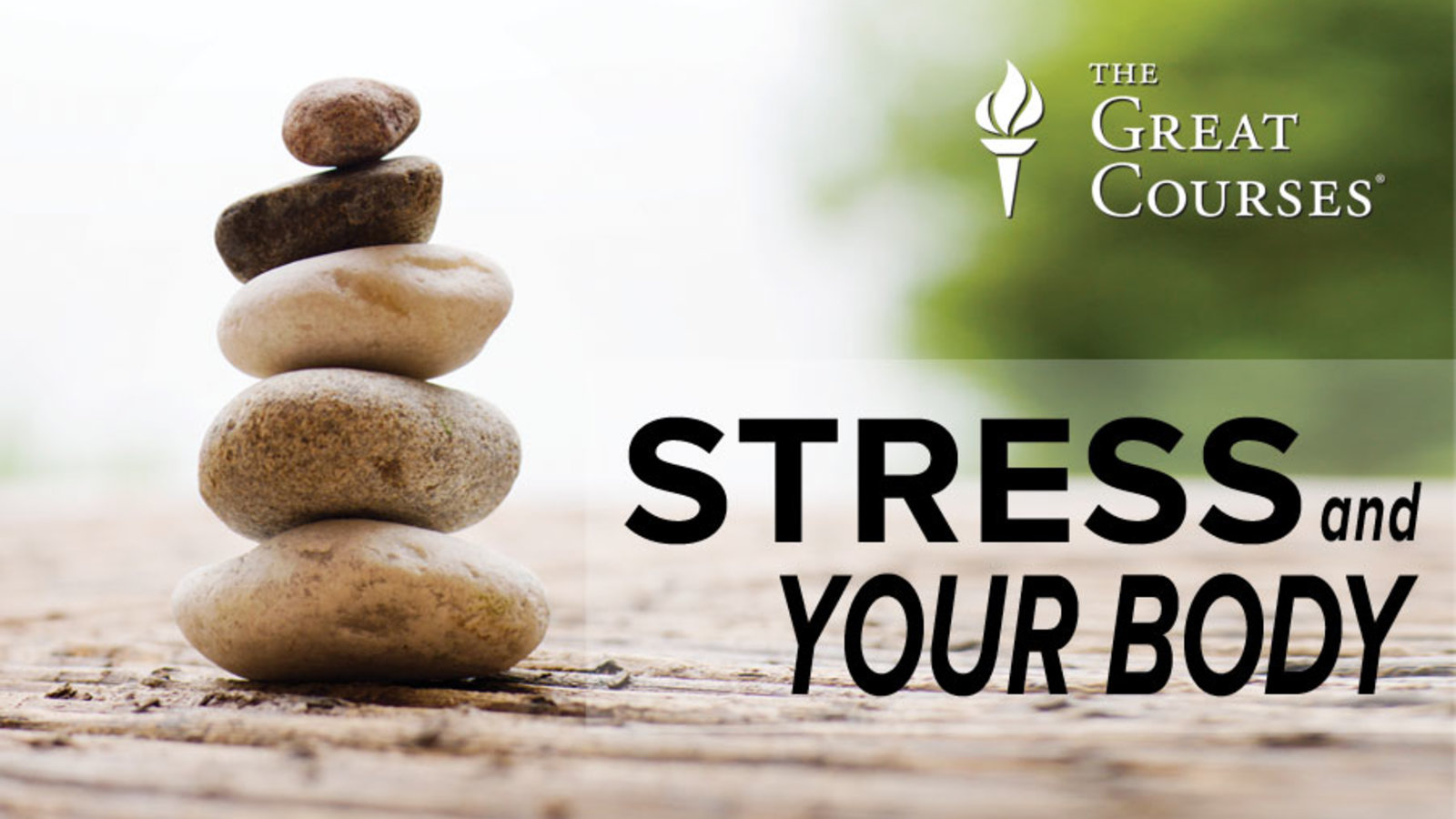 Stress on your body, stress relief, Kanopy, Great Courses, Jacksonville Public Library
