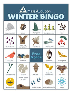 Mass Audubon Bingo Board