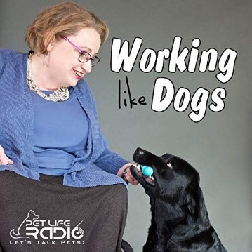 Working Like Dogs Podcast Cover, Woman Feeding a Dog