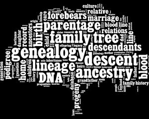 illustration of a tree made up of words describing genealogy