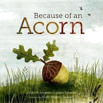 Because of an Acorn book cover