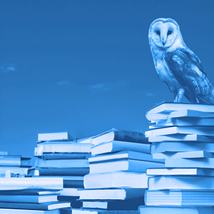Barn owl perched on a stack of books