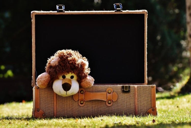 A lion plush in a suitcase