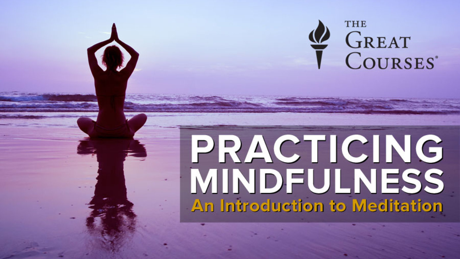 Practicing Mindfulness, Kanopy, Great Courses, Meditation, Jacksonville Public Library