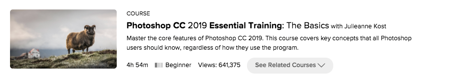 photoshop 2019 essential training