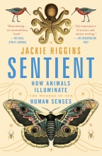 Sentient: How Animals Illuminate the Wonder of our Human Senses by Jackie Higgins