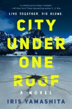 City Under One Roof, by Iris Yamashita