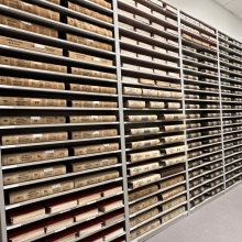 Photo of ledgers and documents organized on a series of shelves