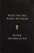 What We See When We Read: A Phenomenology with illustrations by Peter Mendelsund